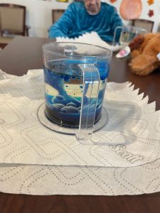 science experiment crystal care (2)